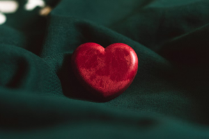 Key Heart Disease Risk Factors for Seniors Explained